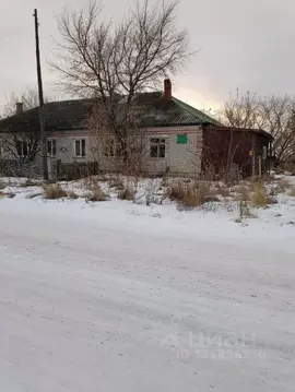 Помещение свободного назначения в Курганская область, Щучанский ...