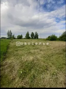 Участок в Рязанская область, Спасский район, Выжелесское с/пос, с. ...