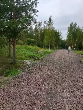 Участок в Ленинградская область, Тосненский район, Ульяновское ...