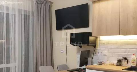 Квартира-студия: Санкт-Петербург, Плесецкая улица, 4 (20.4 м)