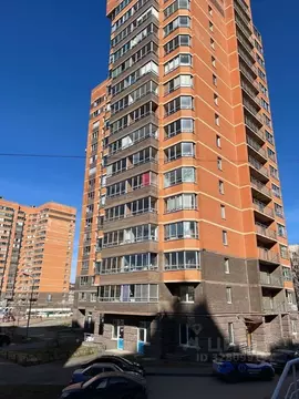 Студия Санкт-Петербург пос. Металлострой, Садовая ул., 8 (25.7 м)