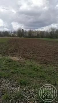 Участок в Новгородская область, Батецкий муниципальный округ, д. ...