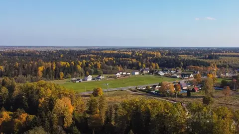 Участок в Ленинградская область, Ломоносовский район, Кипенское с/пос, ...