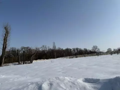 Участок в Московская область, Серебряные Пруды муниципальный округ, ...