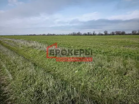 Участок в Крым, Сакский район, Ивановское с/пос, с. Жаворонки ул. ...