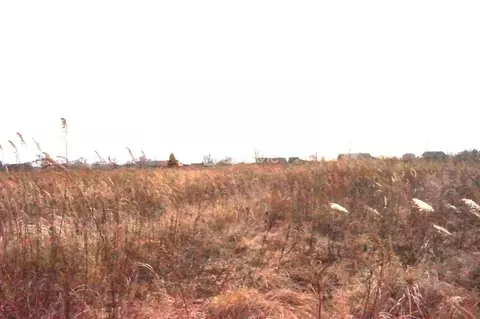 Участок в Приморский край, Октябрьский муниципальный округ, с. ...