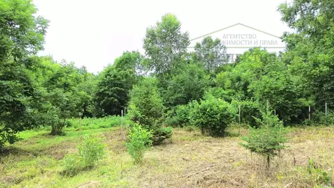 Участок в Приморский край, Артемовский городской округ, с. Кролевцы ...