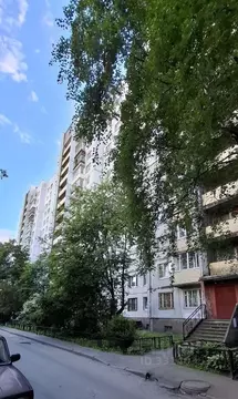 1-к кв. Санкт-Петербург Суздальский просп., 3К2 (33.3 м)