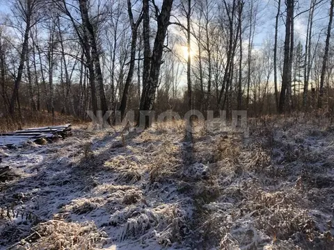 Участок в Новосибирская область, Искитимский район, Морозовский ...