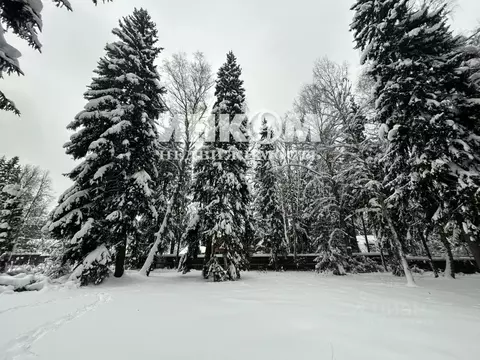 Участок в Москва пос. Толстопальцево, Железнодорожная ул., 10 (6.0 ...