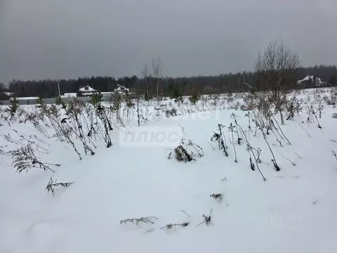 Участок в Московская область, Раменский муниципальный округ, д. ...