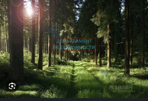 Участок в Ульяновская область, Димитровград ул. Курчатова (10.1 сот.)