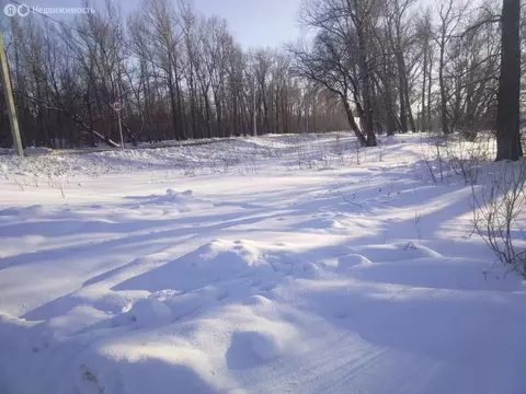 Участок в село Алтайское, Круглый переулок (15 м)