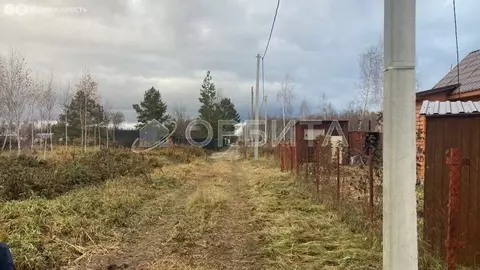 Участок в Тюменский муниципальный округ, посёлок Новотарманский (5 м)