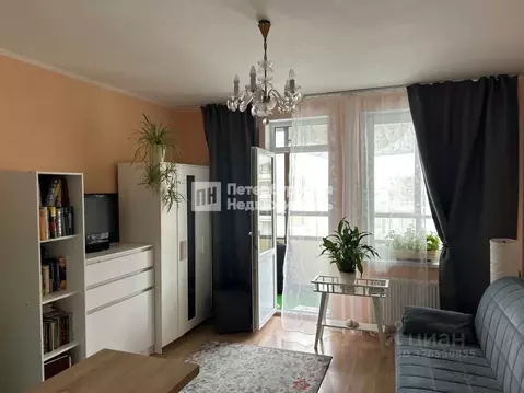 Студия Санкт-Петербург просп. Ветеранов, 171к5 (24.0 м)