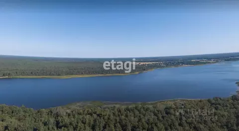 Участок в Ленинградская область, Лужский район, Заклинское с/пос, д. ...