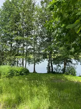 Участок в Брянская область, Фокино ул. Маяковского (20.0 сот.)