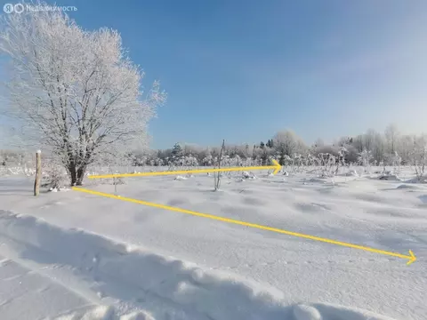 Участок в Вындиноостровское сельское поселение, деревня Чажешно, ...