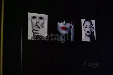 Офис в Ямало-Ненецкий АО, Муравленко ул. Ленина, 88 (21 м)