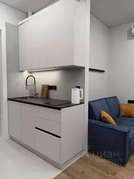 Студия Москва ул. Крузенштерна, 2 (30.0 м)