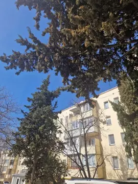 1-к кв. Севастополь просп. Генерала Острякова, 1 (23.0 м)