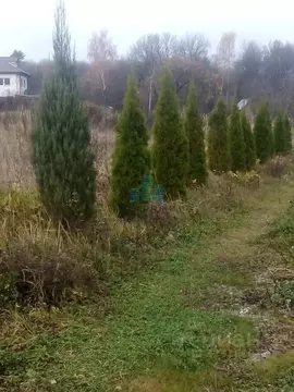 Участок в Калужская область, Дзержинский муниципальный округ, Дворцы ...