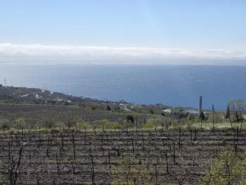 Участок в Крым, Ялта муниципальный округ, с. Оползневое  (6.0 сот.)