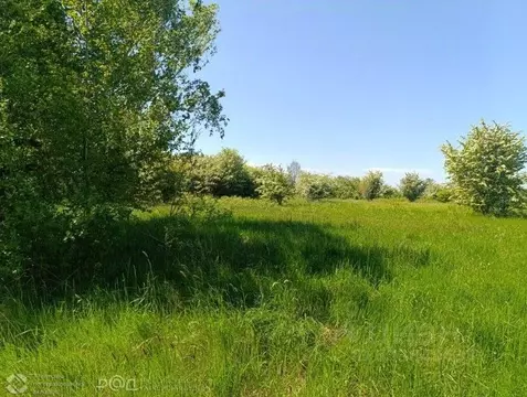 Участок в Калининградская область, Гурьевский муниципальный округ, ...