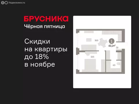 1-комнатная квартира: Новоселье, ЖК Брусника (43.06 м)