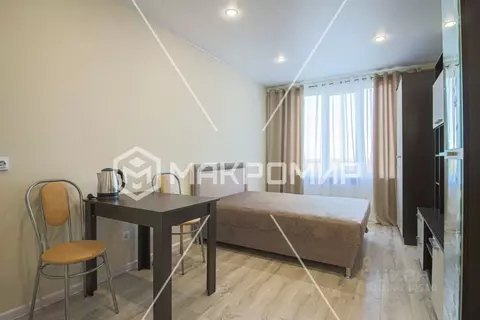 Студия Ленинградская область, Мурино Всеволожский район, ул. Шоссе в ...