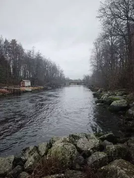 Участок в Ленинградская область, Приозерский район, Мельниковское ...