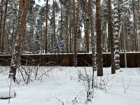 Участок в Татарстан, Лаишевский район, д. Матюшино 344 (10.0 сот.)