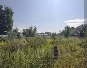 Участок в Ярославская область, Ярославский муниципальный округ, ...