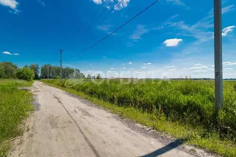 Участок в Тюменская область, Тюменский муниципальный округ, с. ...