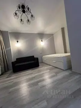 1-к кв. Новосибирская область, Новосибирск Затулинский жилмассив, ул. ...