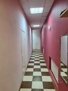 Офис в Санкт-Петербург ул. Чайковского, 42 (76 м)