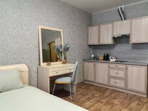 Студия Ленинградская область, Гатчина ул. Хохлова, 16 (25.0 м)