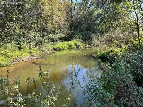 Участок в Владимирская область, Александровский муниципальный округ, ...