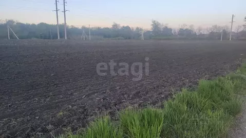 Участок в Белгородская область, Белгородский муниципальный округ, ...