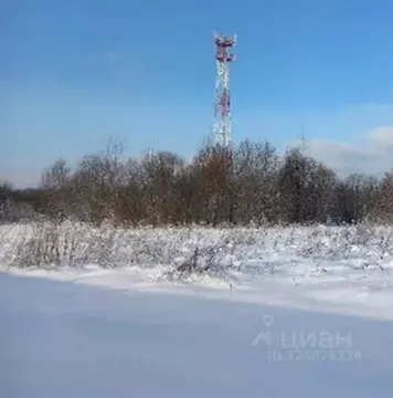 Участок в Московская область, Дмитровский муниципальный округ, д. ...