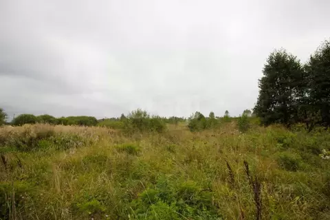 Участок в Калужская область, Перемышльский район, Большие Козлы с/пос, ...