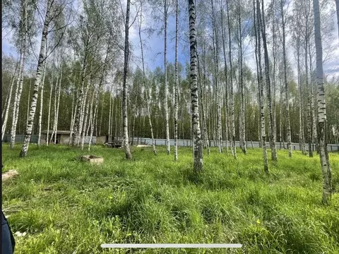 Участок в Москва д. Милюково, ул. Русская Деревня, 81 (8.0 сот.)