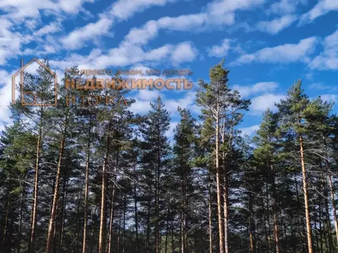 1-к кв. Башкортостан, Нефтекамск ул. Дзержинского, 32 (37.9 м)