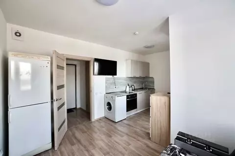 Студия Санкт-Петербург дор. Муринская, 10к1 (21.0 м)