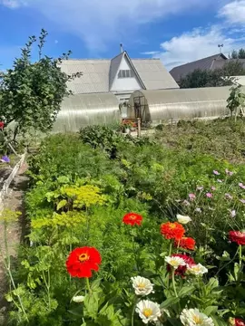 Дом в Бурятия, Улан-Удэ Иволгинская ул., 14 (33 м)