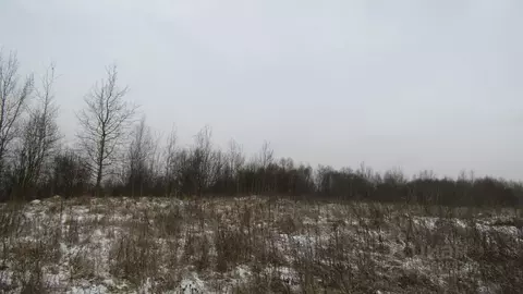 Участок в Московская область, Рузский муниципальный округ, д. Лыщиково ...