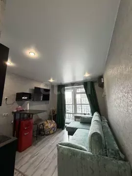 Студия Воронежская область, Воронеж ул. Независимости, 84/4 (19.2 м)