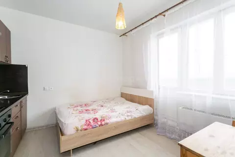 Студия Новосибирская область, Новосибирск ул. Виктора Уса, 11 (20.0 м)