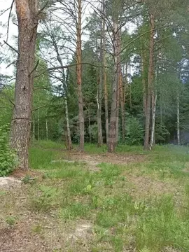 Участок в Марий Эл, Звениговский район, Кокшайское с/пос, с. Кокшайск ...