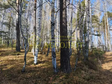 Участок в Свердловская область, Дегтярск ул. Жуковского, 35 (13.5 ...